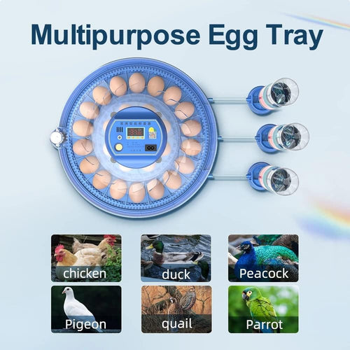 52 Egg Incubator with Automatic Turning and Led Display