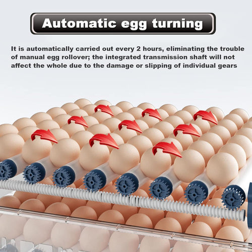 128 Egg Incubator with Automatic Turning and Led Display