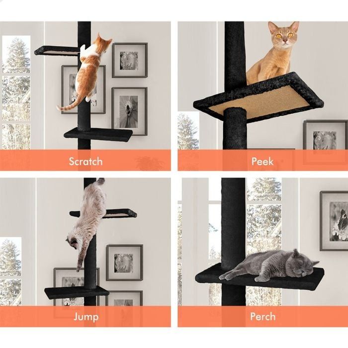 Floor to Ceiling Cat Tree Tower Adjustable 230 - 286cm Black