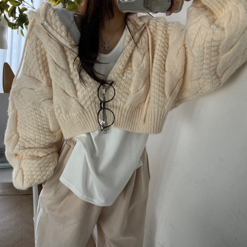 Hooded Zipper Short Knit Cardigan for Women, Loose Solid Color Batwing Sleeve Sweater Coat