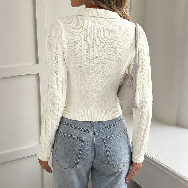 Bow Embroidered Polo Neck Short Sweater for Women